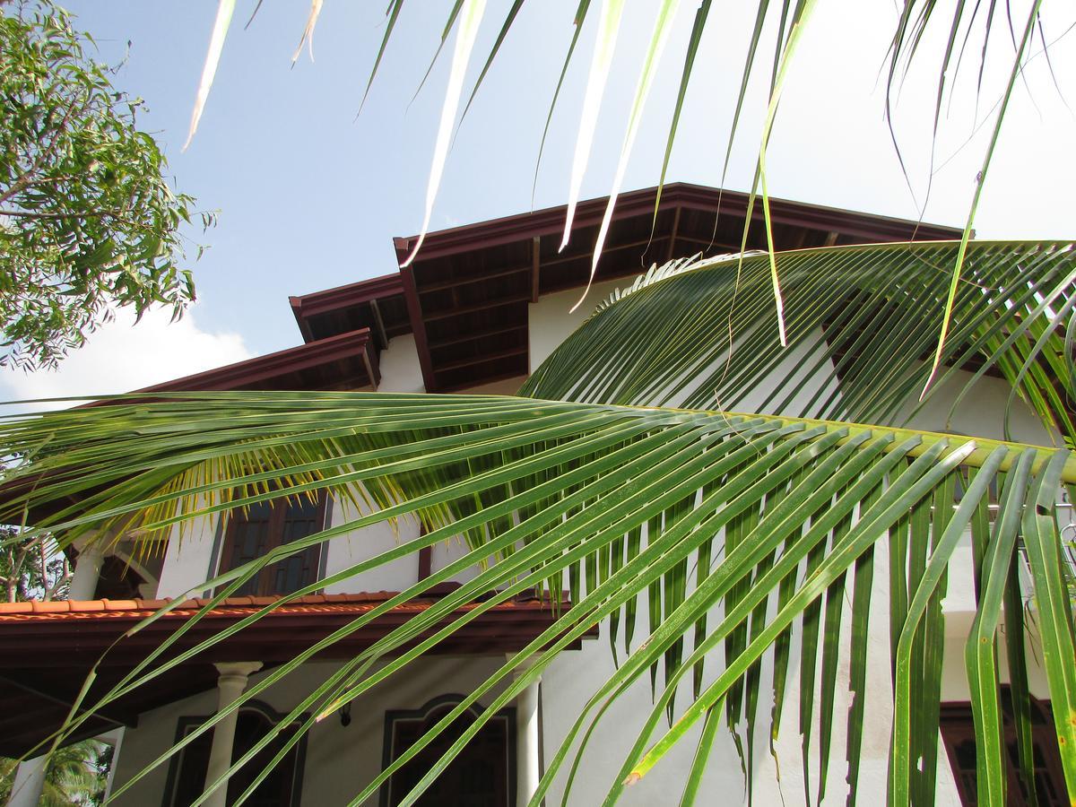 Falcon Villa Induruwa Dış mekan fotoğraf